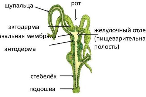 Как открыть кракен