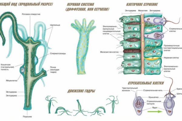 Кракен ссылка kraken