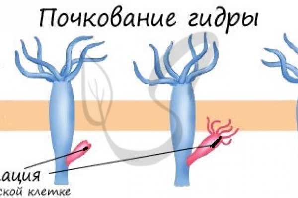 Кракен at сегодня работает ли